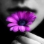 {Lyllislv}