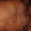 Sub_santos
