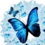 borboleta azul