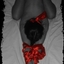 {samara#19}_jotta2pe