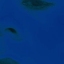 ENYASP
