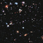 eve555