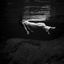 liliam undone