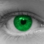FEL.ST