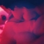 bdsm1309