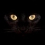 darknees