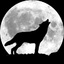 MESTRE WOLF