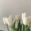 flor de amora