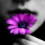 mile