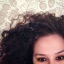 tulipa_aash