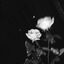 TheDarkSideOfMe