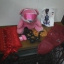 Pascal