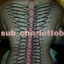 charlottebhsubm