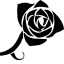CLV_HOLDEN
