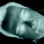 Escravobh