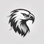 SENHOR FALCON