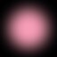 rose.