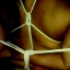 _melissa_