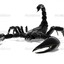 SCORPIAO