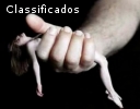 Desejo Capturar Uma Alma Submissa