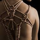 Shibari