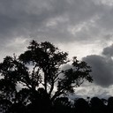 Belezas do Paraná