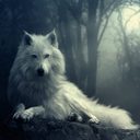 Amigos Lobos