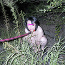 Omeko - Poo - Kayo