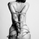 Shibari