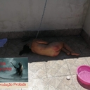 Punição