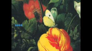 Morphine - Have a Lucky Day