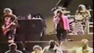 F- Me In My Brain - Indio '93