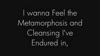Forty Six & 2 - Tool